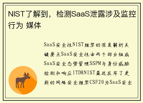 NIST了解到，检测SaaS泄露涉及监控行为 媒体