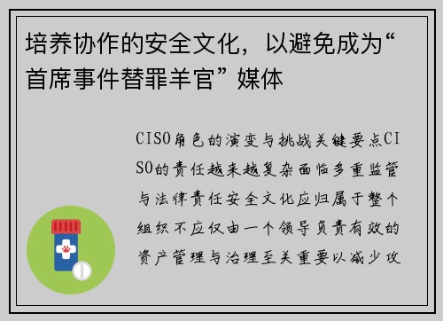 培养协作的安全文化，以避免成为“首席事件替罪羊官” 媒体